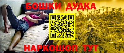 МДПВ Лесосибирск