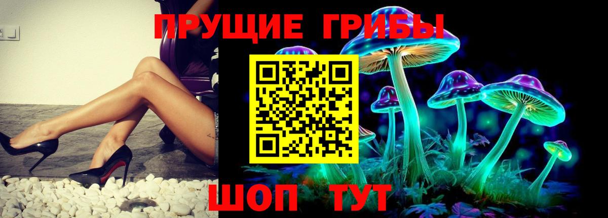 Псилоцибиновые грибы MAGIC MUSHROOMS Елизово